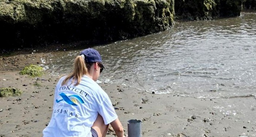 Chubut garantiza la continuidad de cuatro proyectos de investigaci&oacute;n cient&iacute;fica